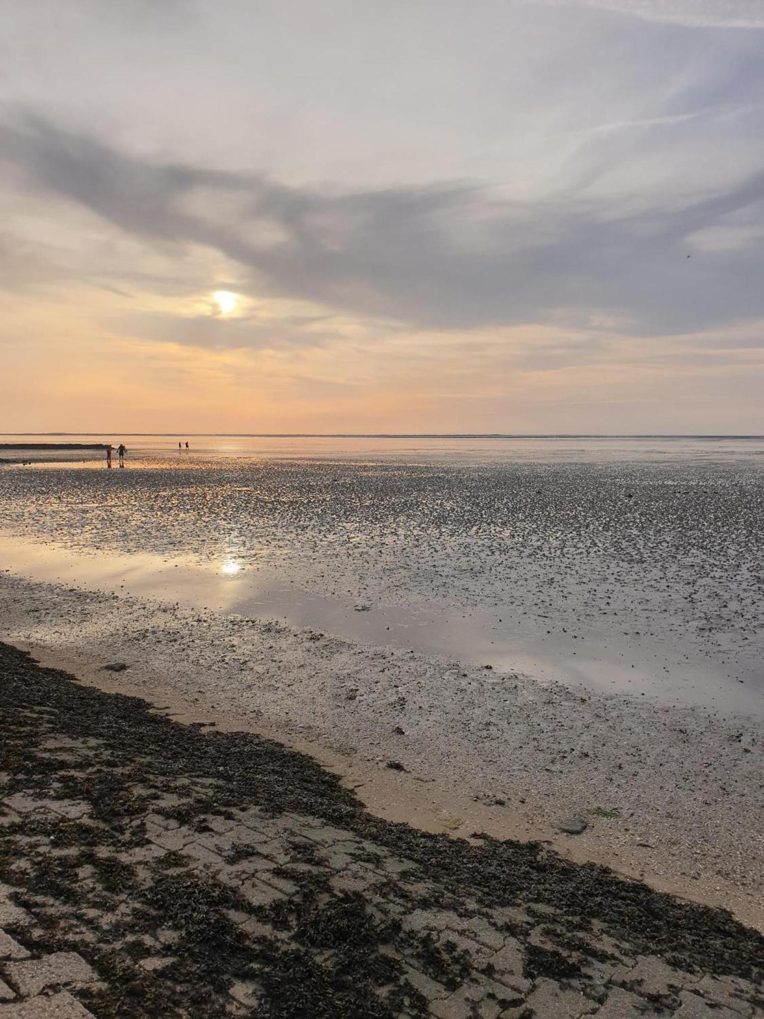 Gulfhaus Alte Meesterei Manslagt ภายนอก รูปภาพ